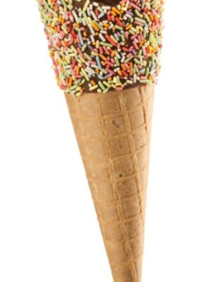 Tall Rainbow Sugar Cone