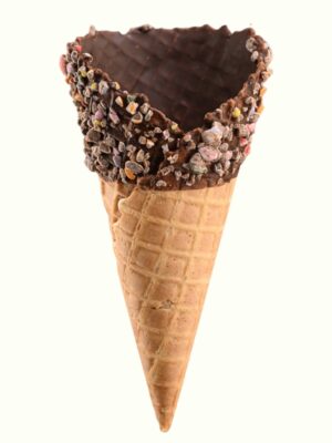Medium Smarty Pants Waffle Cone (66)