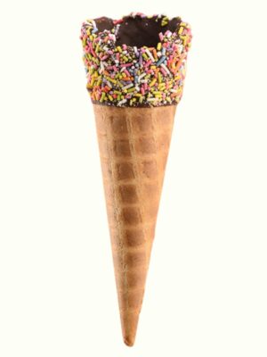 Small Rainbow Waffle Cone (162)