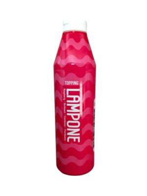 Montebianco Raspberry Topping Sauce 1kg